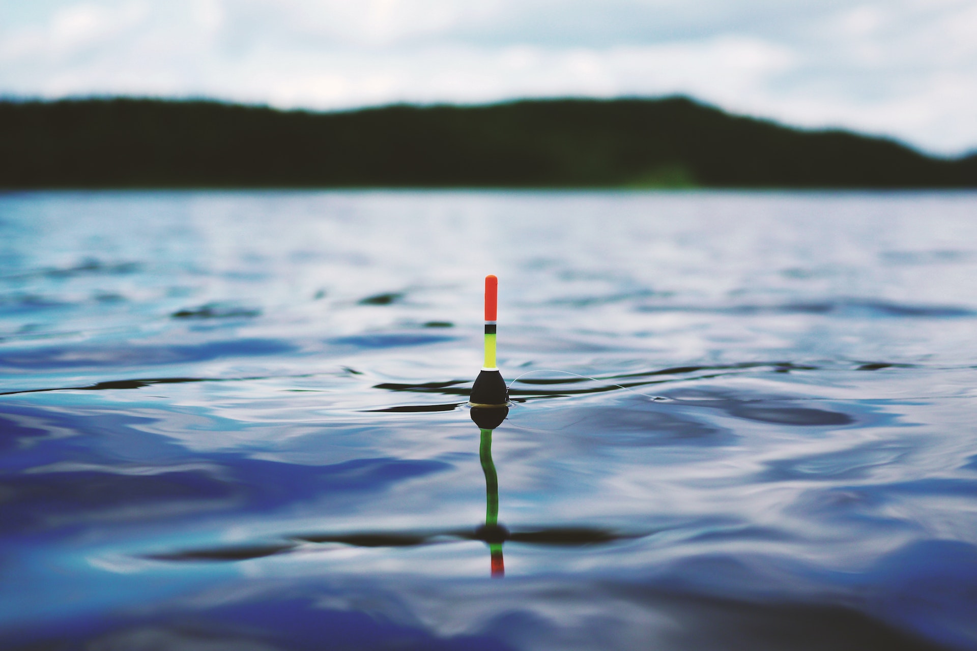 Pesca sportiva